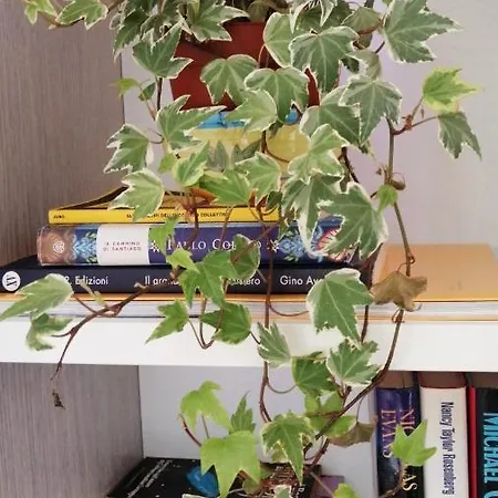 B&B Santu Bustianu 3*