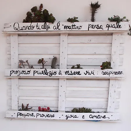 Santu Bustianu 3* 오르고솔로