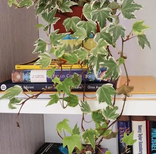 住宿加早餐酒店 Santu Bustianu 3*